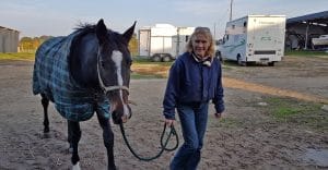 Equine Iridology Course